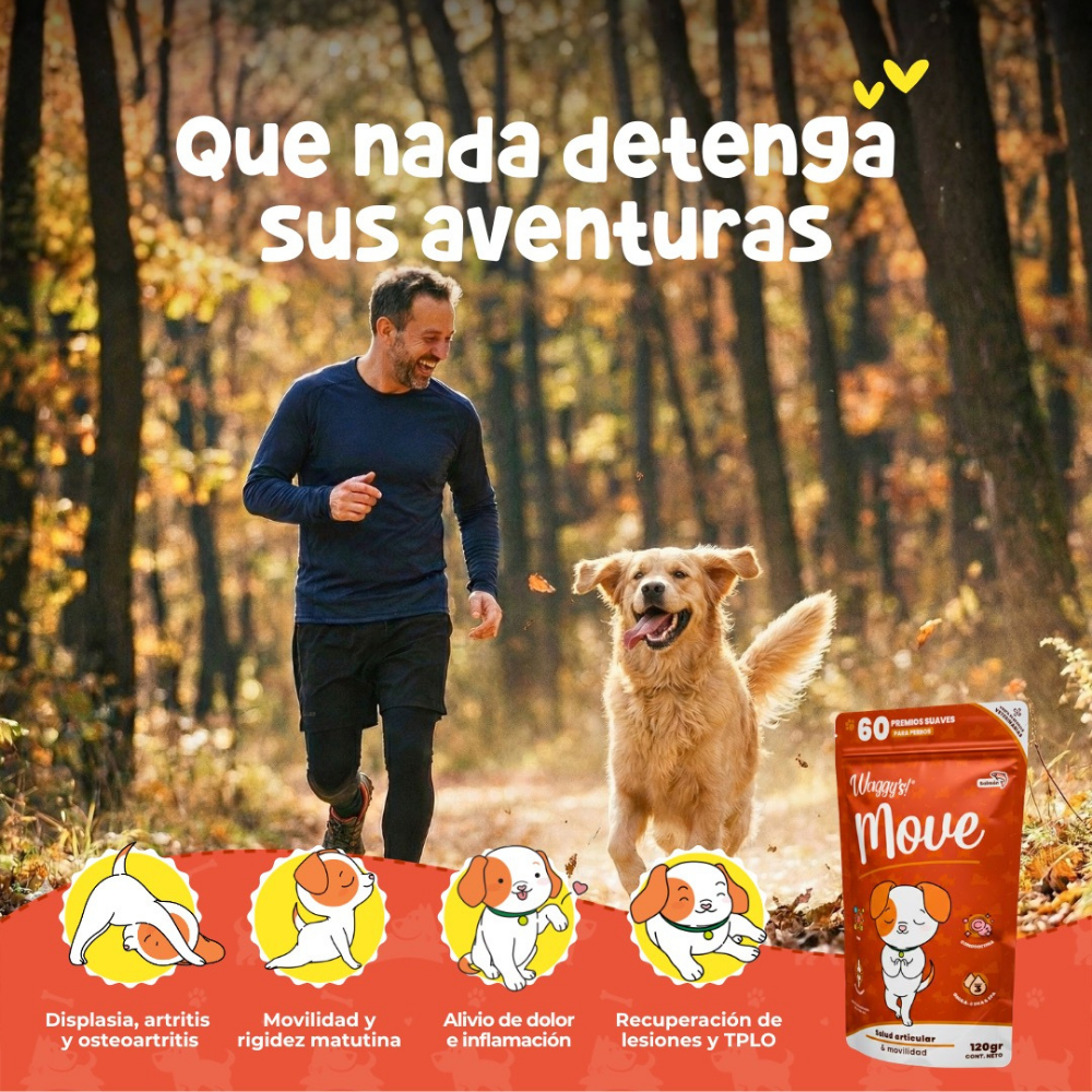 WAGGYS MOVE PARA PERROS