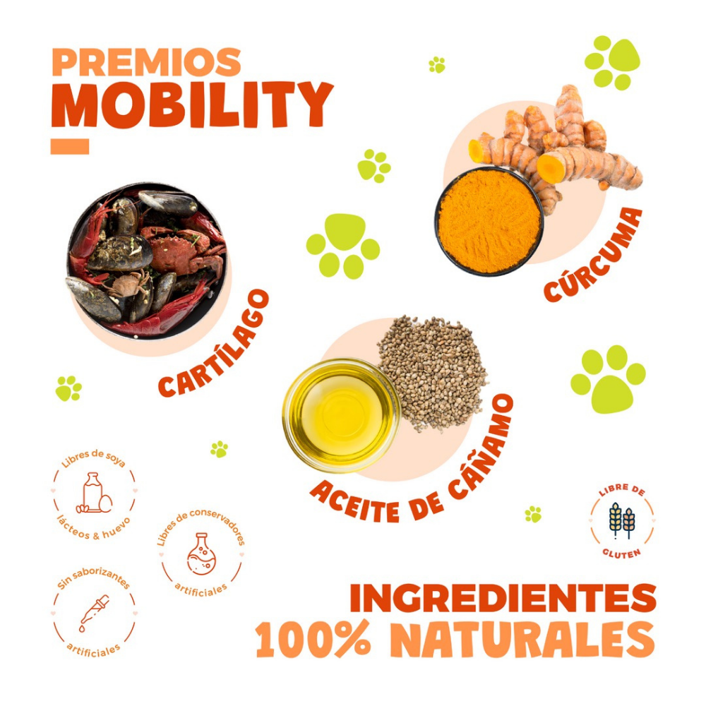 WAGGYS MOBILITY PARA GATOS