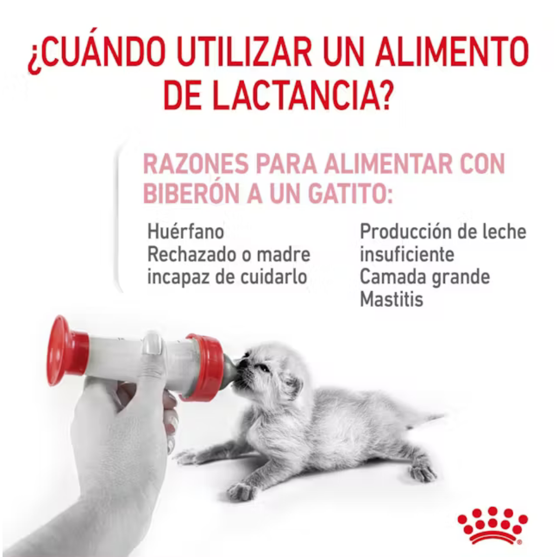Royal Canin Sustituto de Leche Para Recien Nacido Gatito
