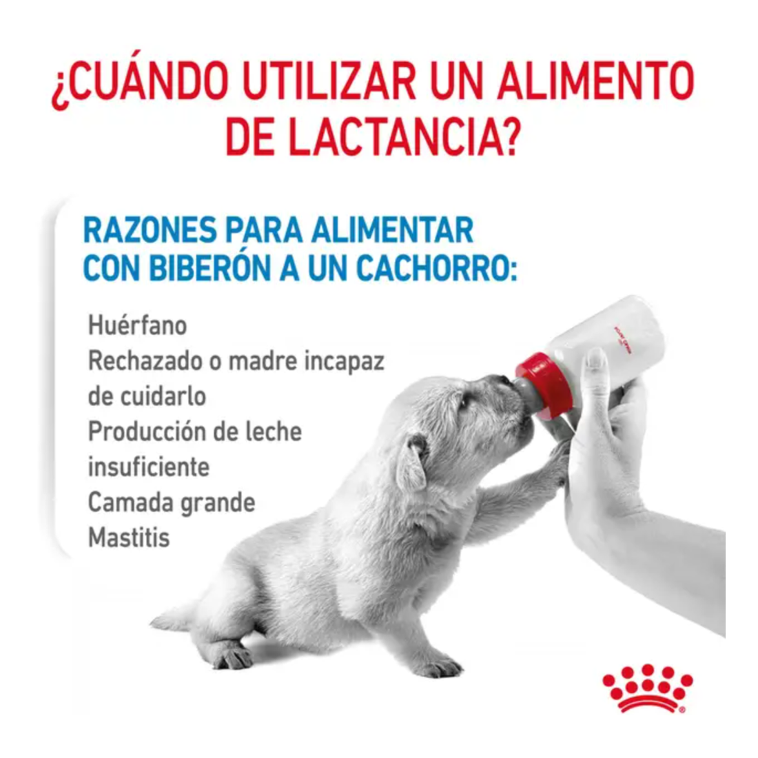Royal Canin Sustituto de Leche Para Recién Nacido Cachorro