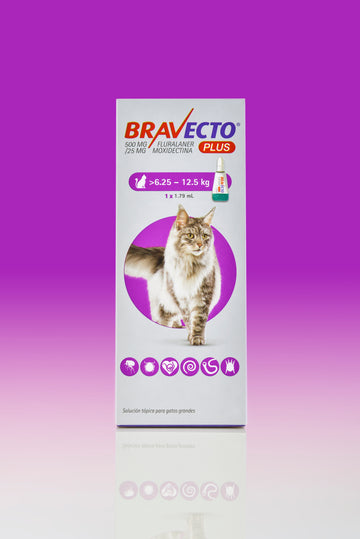 Bravecto pipeta para gato de 6.25-12.5 Kg 1.79 mL
