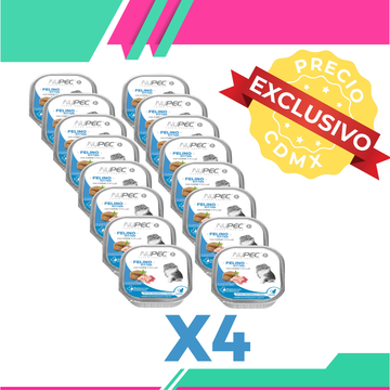 Alimento Húmedo Nupec Felino Kitten 4 Blister c/u de 16 Charolas (Precio Exclusivo para CDMX)