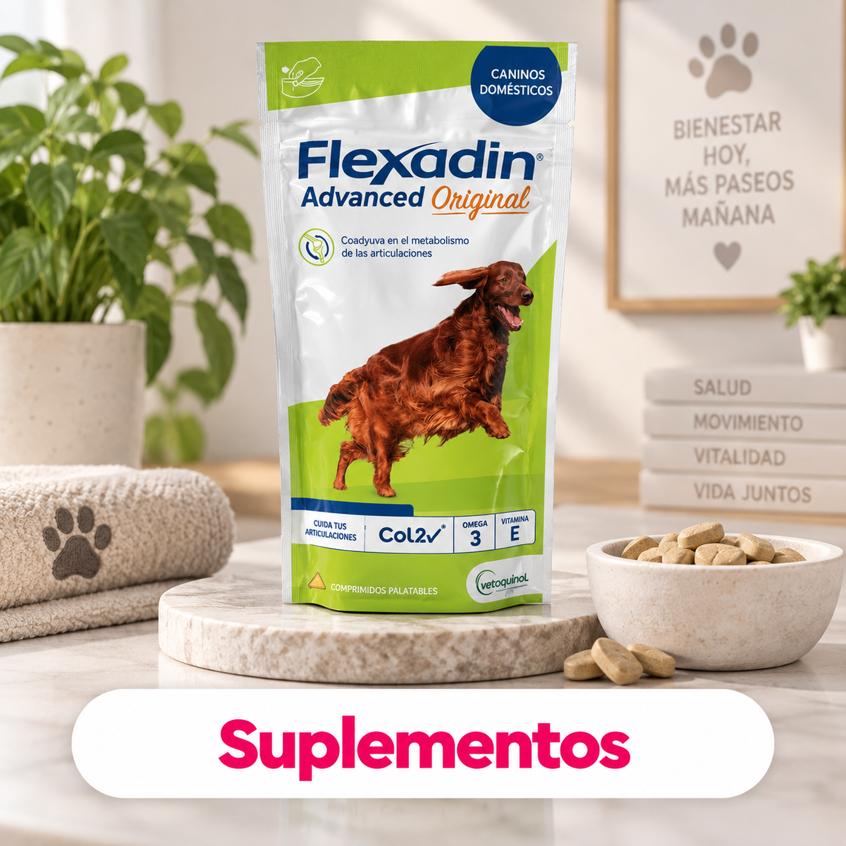 Categoría CrokiPets