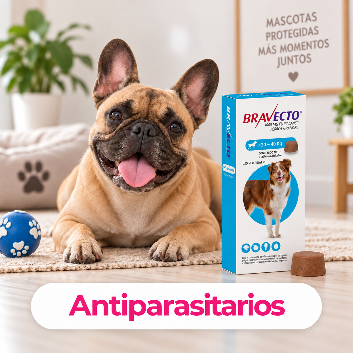 Categoría CrokiPets