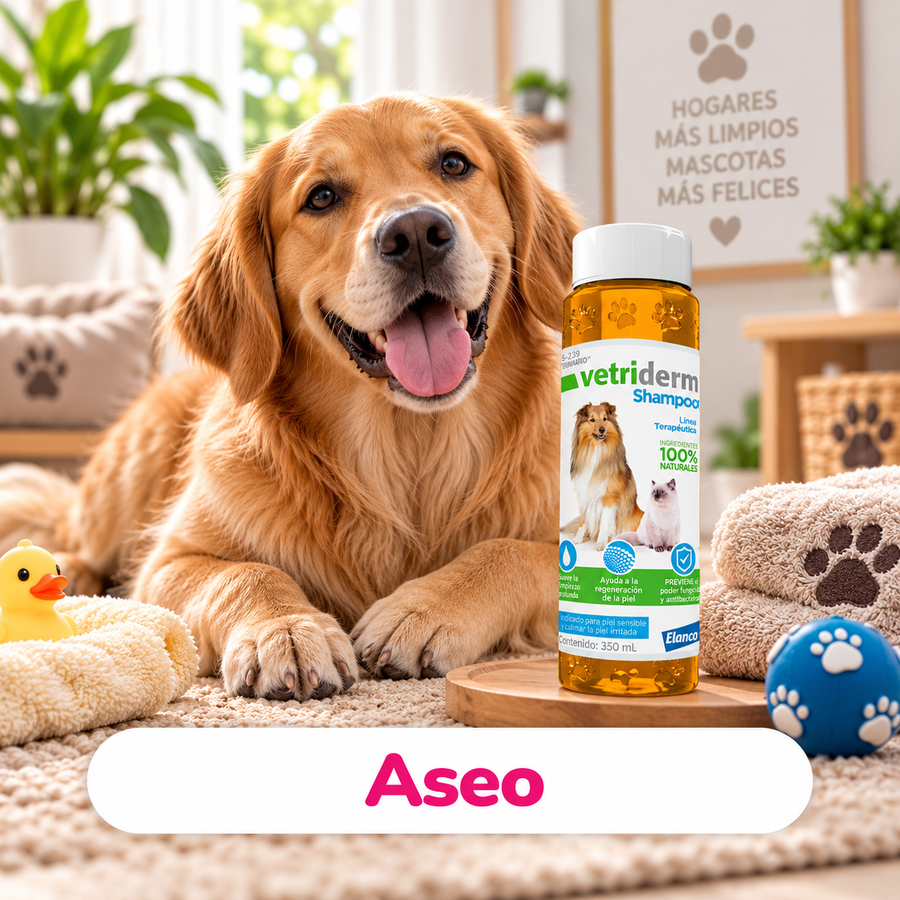 Categoría CrokiPets móvil