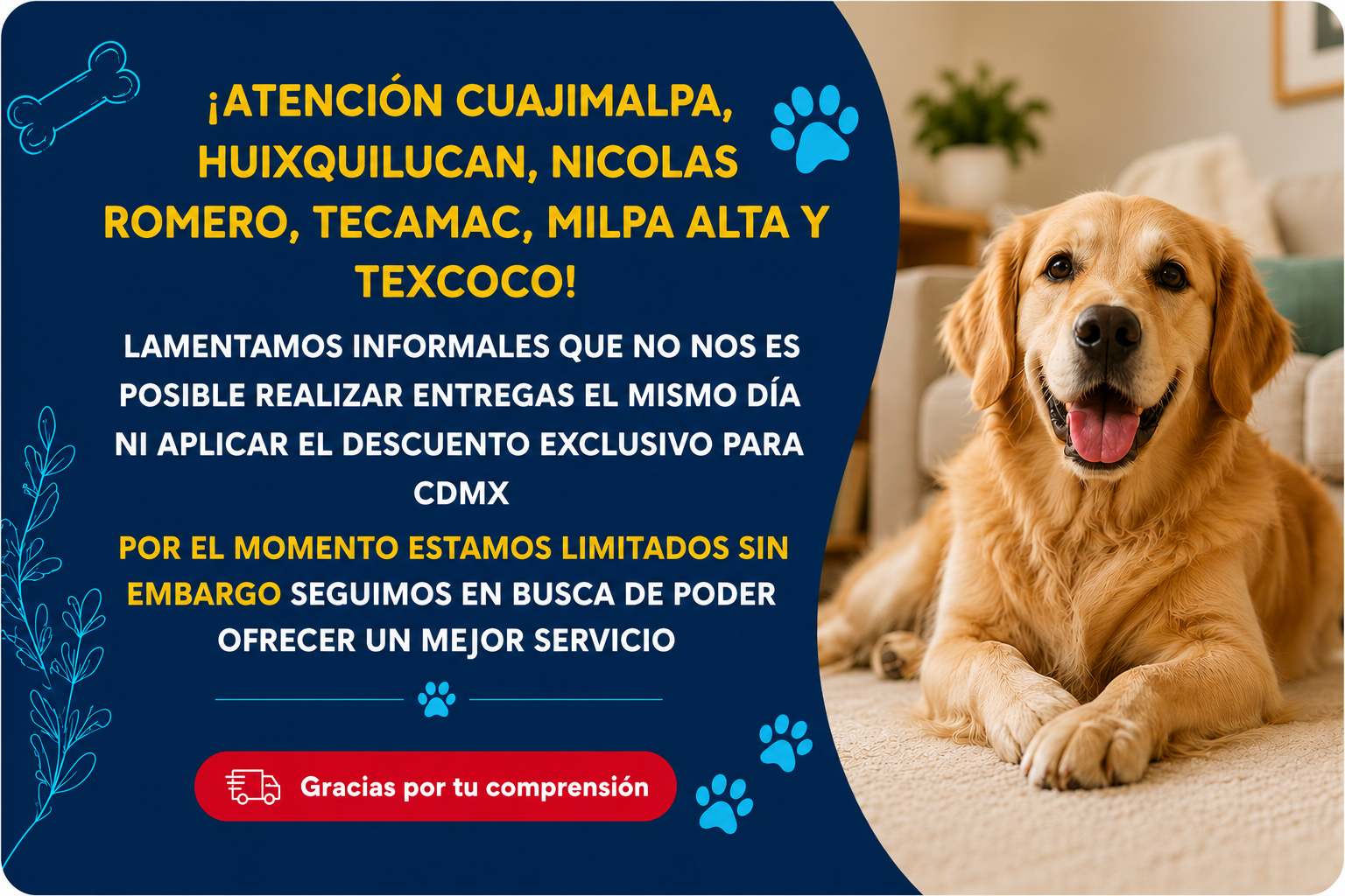 Promoción CrokiPets móvil