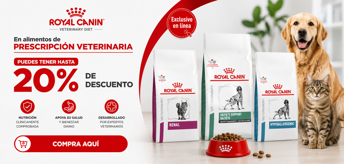 Promoción CrokiPets