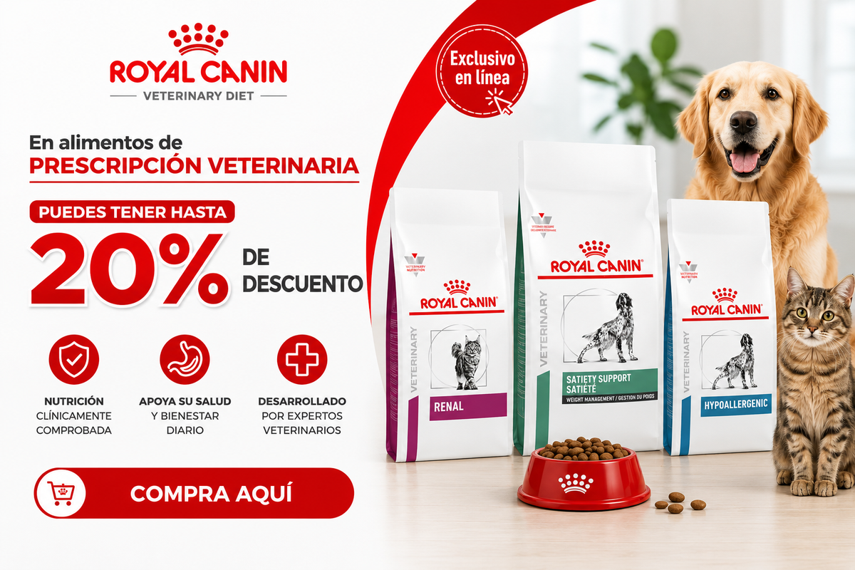 Promoción CrokiPets móvil