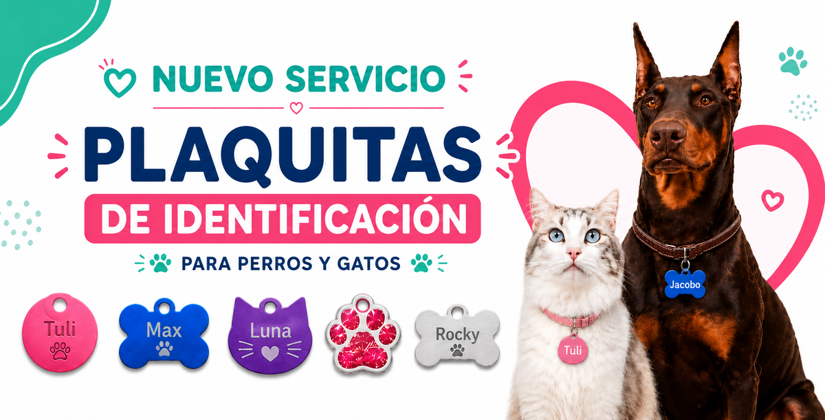 Banner promocional