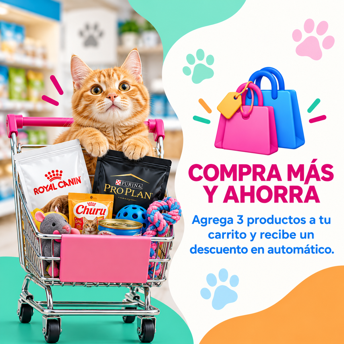 Novedad CrokiPets