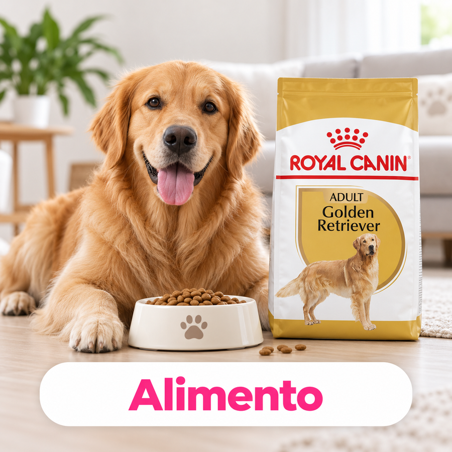 Categoría CrokiPets móvil