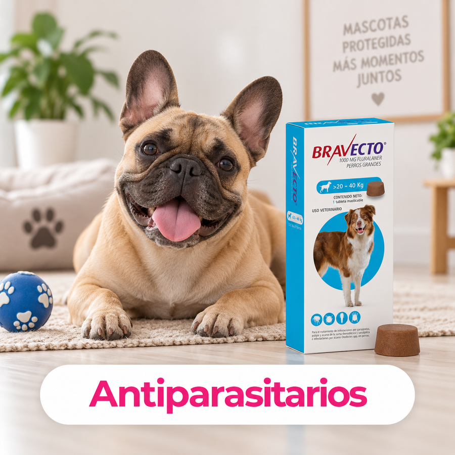 Categoría CrokiPets móvil