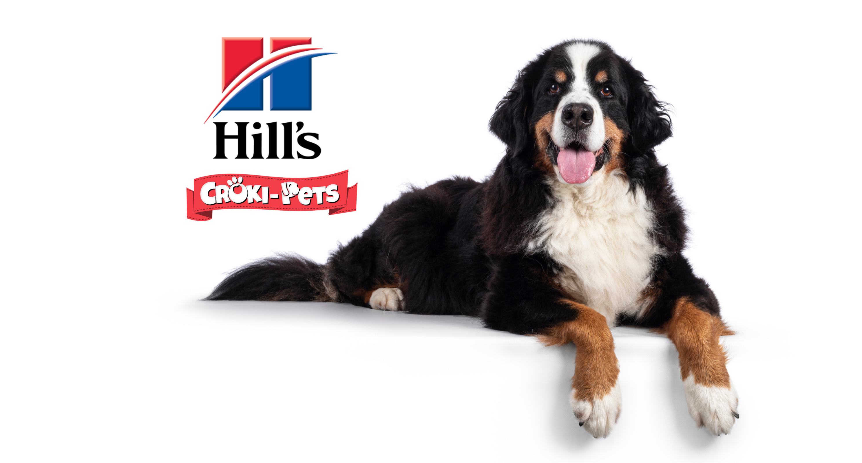 collection-banner-image