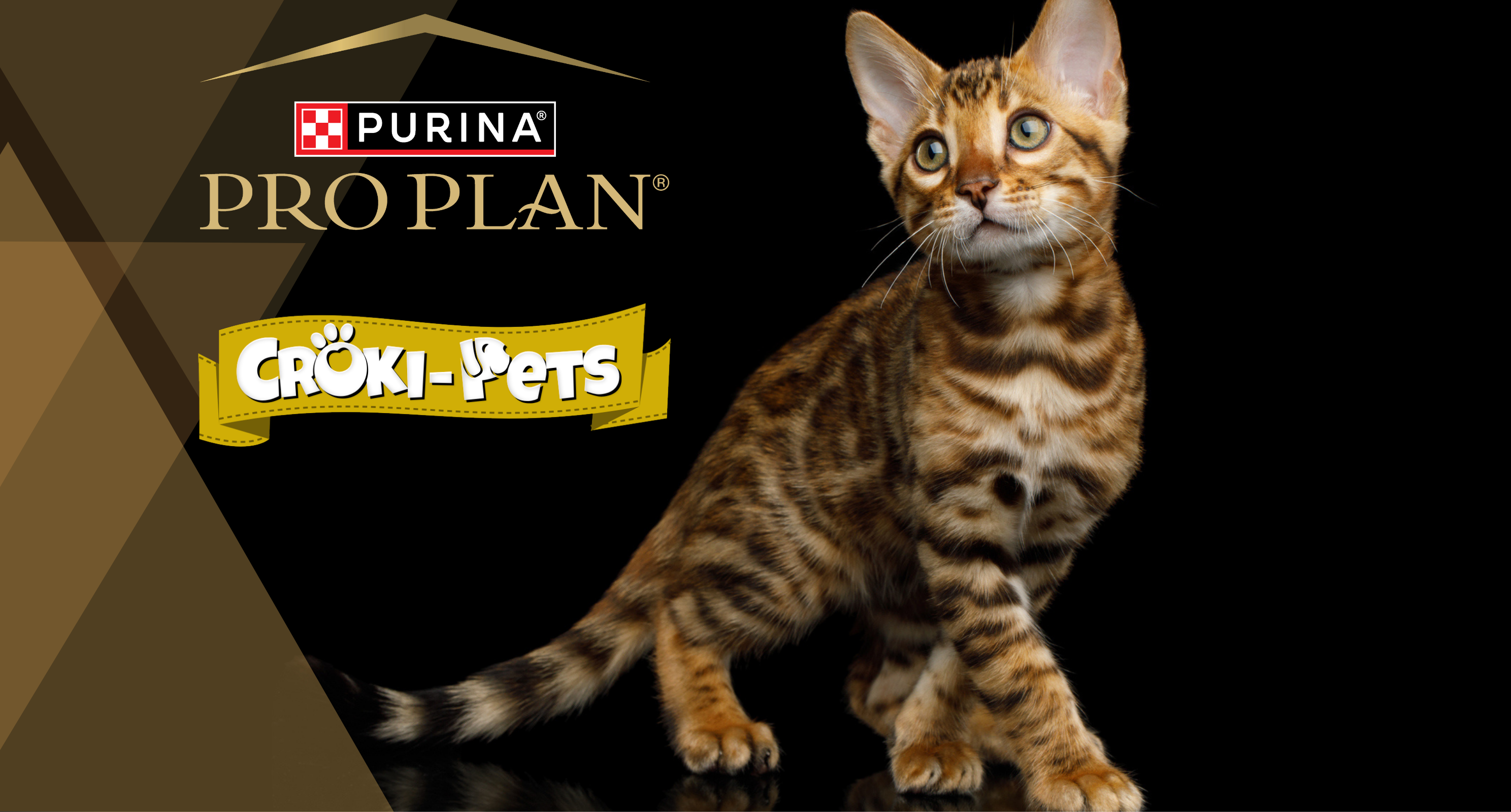 collection-banner-image