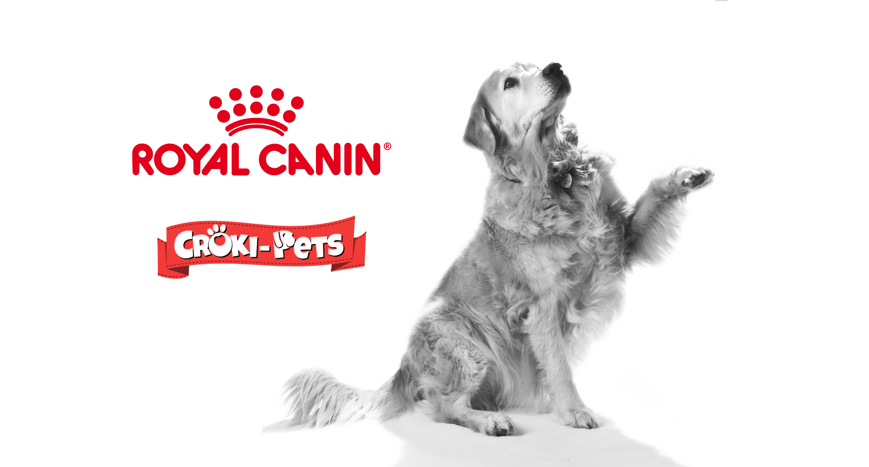 collection-banner-image