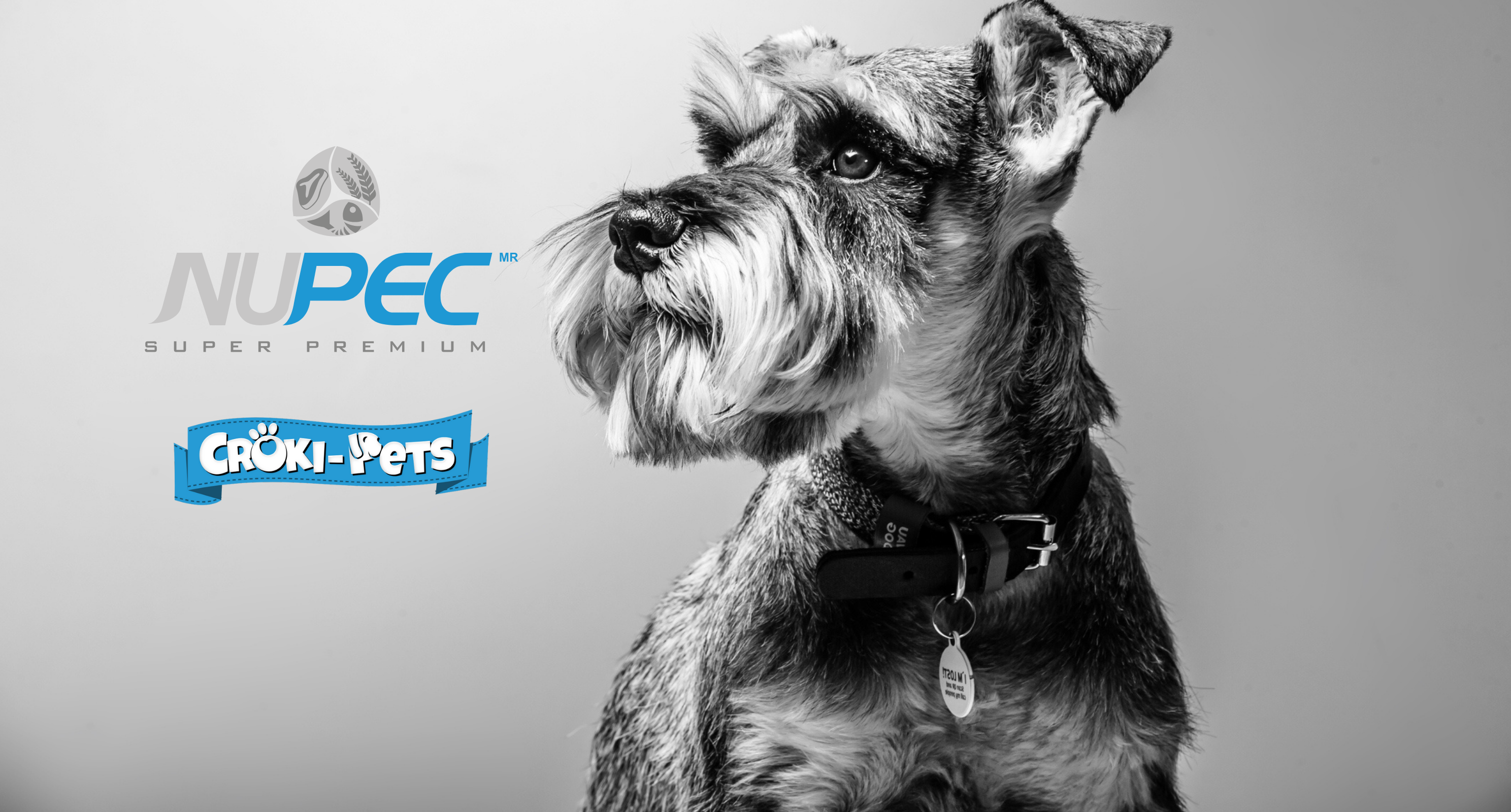 collection-banner-image