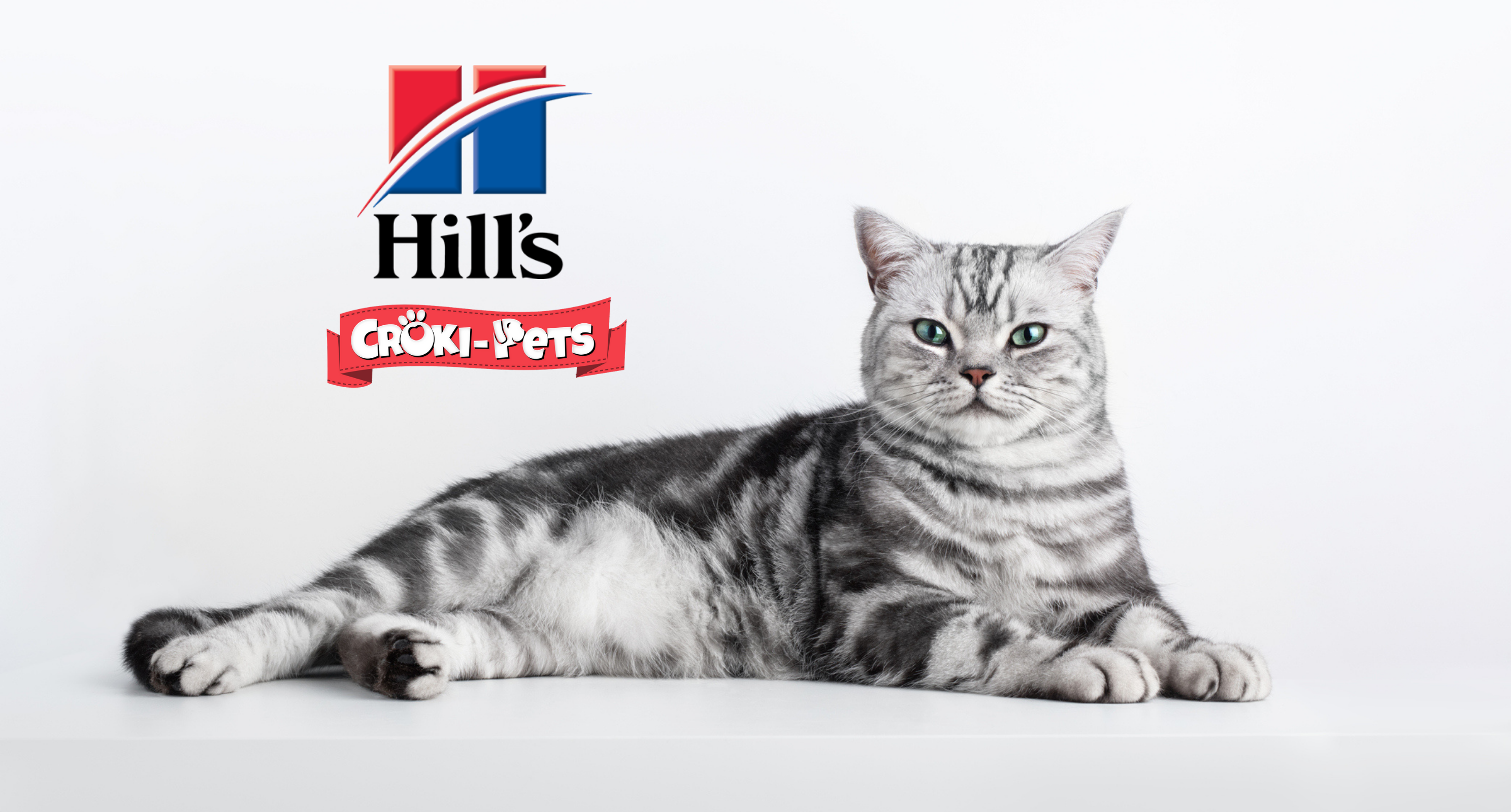 collection-banner-image