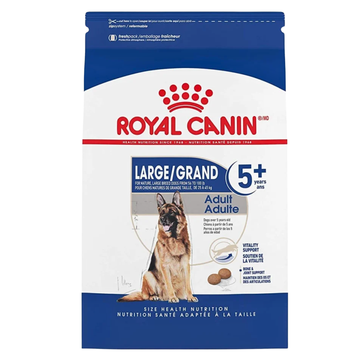 Alimento Royal Canin Senior Raza Grande Large 5+ Perro