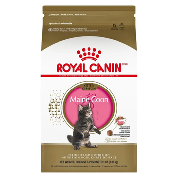 Alimento Royal Canin Gatito (Kitten) Raza Maine Coon