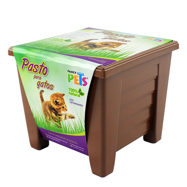 PASTO P/GATOS FANCY PETS