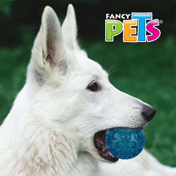 JUGUETE PELOTA FLEXIBLE CH C/SONIDO FANCY PETS