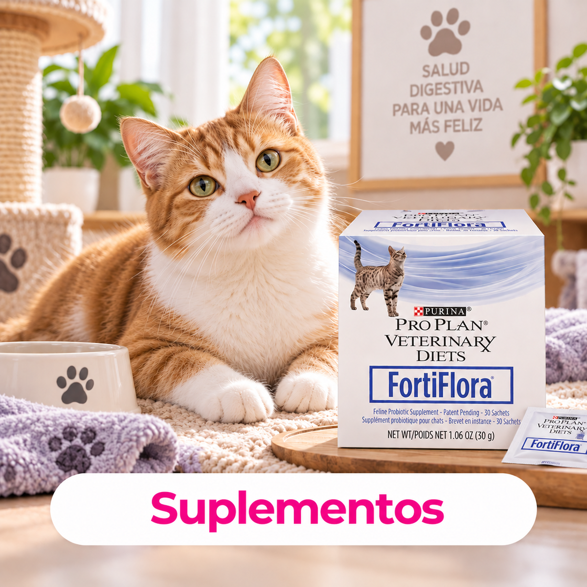 Categoría CrokiPets