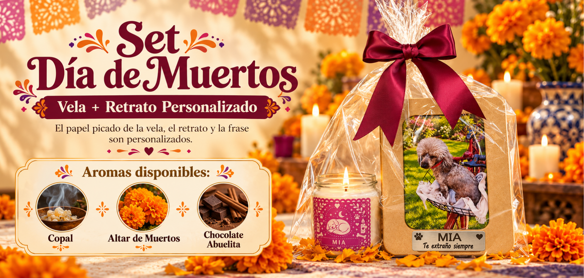 Promoción CrokiPets