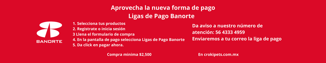 slider image slider_item_P4NpX7