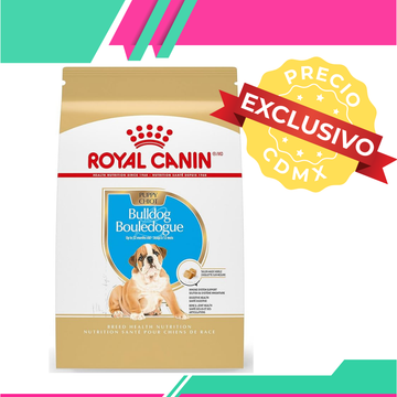 Alimento Royal Canin Bulldog Inglés Cachorro (Precio exclusivo para CDMX)