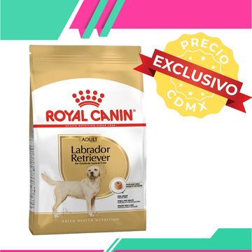 Alimento Royal Canin Labrador Retriver Adulto (Precio exclusivo para CDMX)