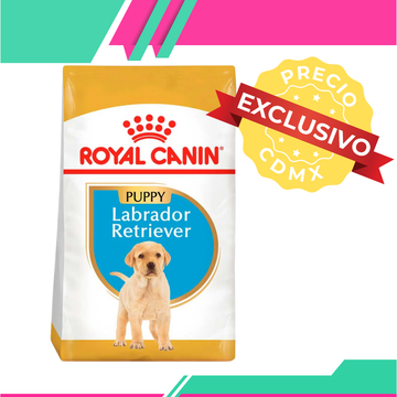 Alimento Royal Canin Labrador Retriver Cachorro (Precio exclusivo para CDMX)