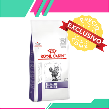 Alimento Royal Canin Cat Dental Dry (Precio exclusivo para CDMX)
