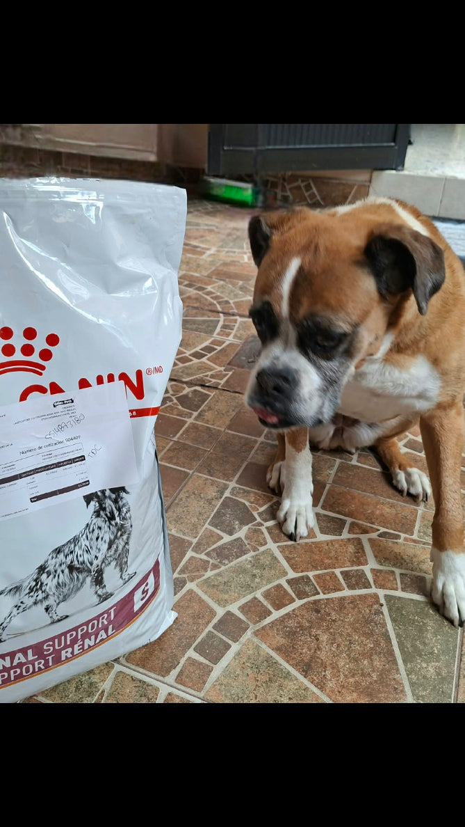 Cliente CrokiPets con su mascota