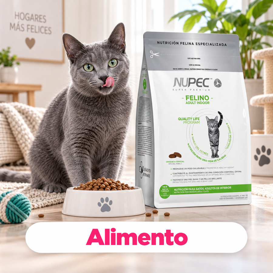 Categoría CrokiPets móvil