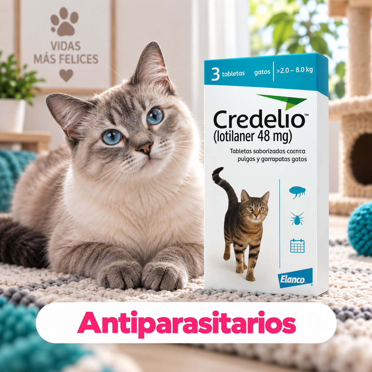 Categoría CrokiPets