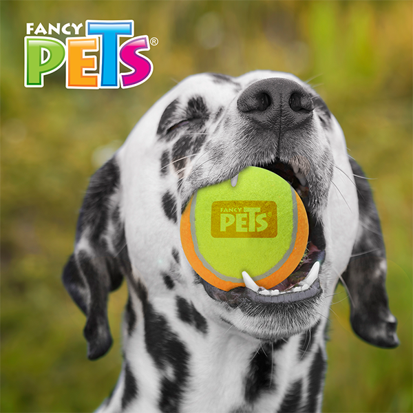 JUGUETE PELOTA MED DE TENIS BICOLOR - 3 PZ FANCY PETS