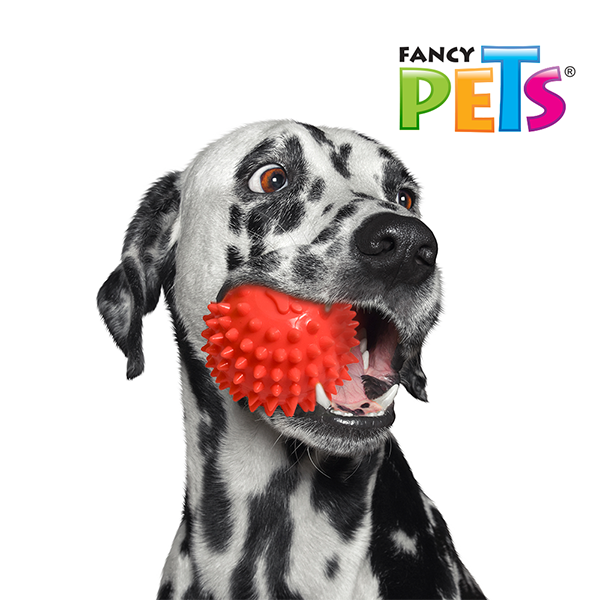 JUGUETE PELOTA DE CAUCHO SPINY FANCY PETS