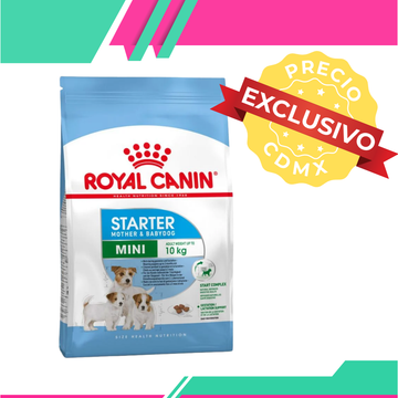 Alimento Royal Canin Small Starter Mother&Baby Gestacion, Lactancia y Destete Perro (Precio exclusivo para CDMX)