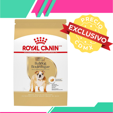 Alimento Royal Canin Bulldog Inglés Adulto (Precio exclusivo para CDMX)