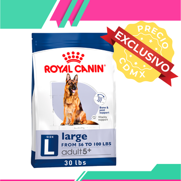 Alimento Royal Canin Adulto Raza Grande Senior 5+ Perro (Precio Exclusivo Para CDMX)