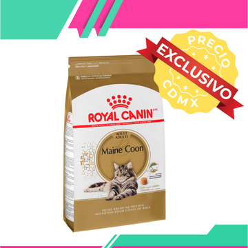 Alimento Royal Canin Gato Adulto Raza Maine Coon (Precio Exclusivo Para CDMX)