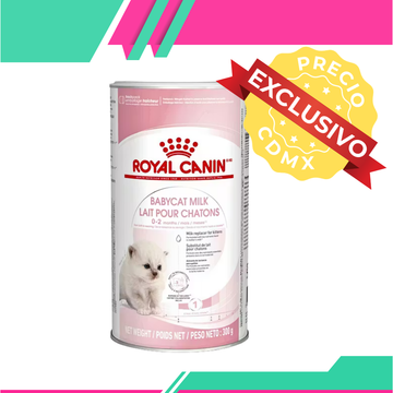 Royal Canin Sustituto de Leche Para Recien Nacido Gatito (Precio Exclusivo Para CDMX)